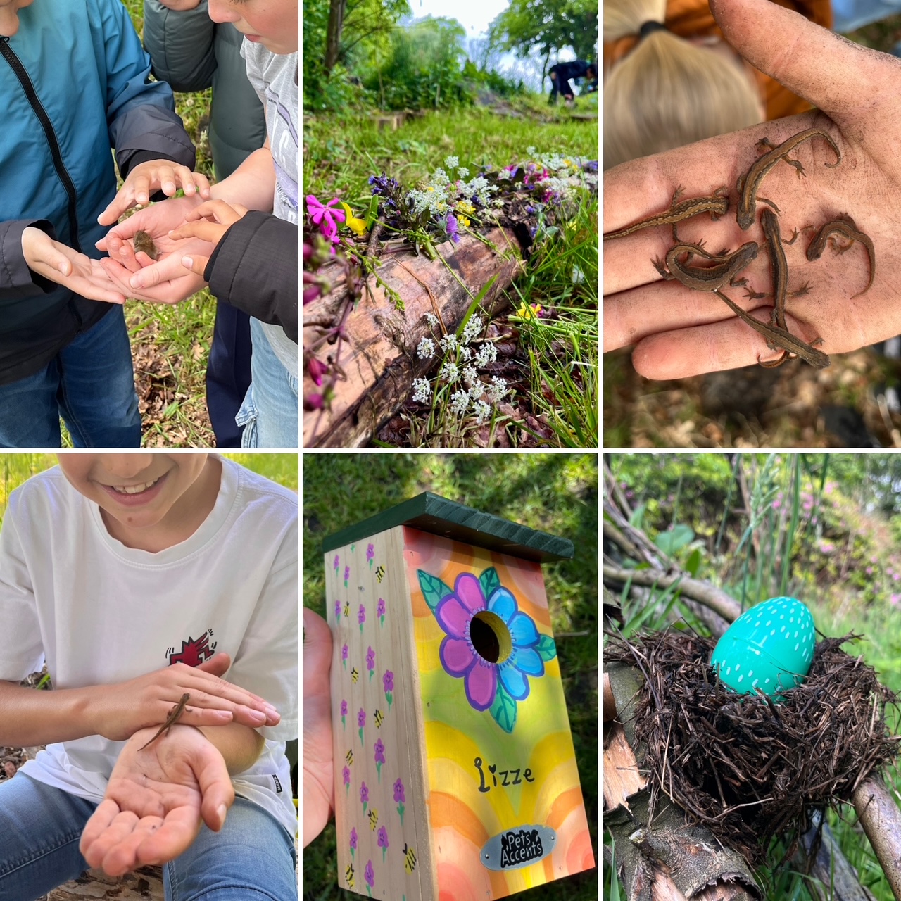 Nature & Art